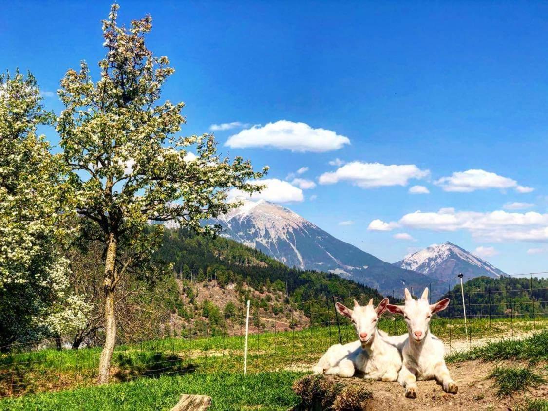 Apartman Landscape Zgornje Gorje